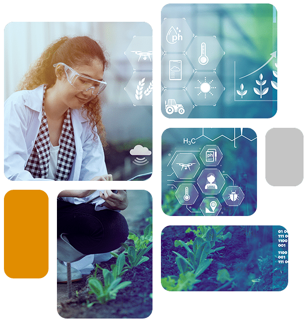 Healthcare product lab