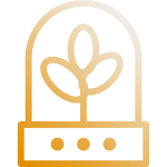 Startup Success Rate